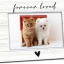 Pet Memorial Dog Cat Picture Frame 4x6, Loss of Cat Sympathy Gift Wooden Picture Frame, Memorial Gifts for Dogs Cats, Forever Loved Sympathy Decorative Photo Frames for Table Desk Decor