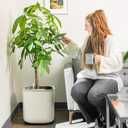 Vego garden Self Watering Pots Home Planters with Water Gauge for Effortless Indoor Plants Cream White