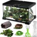 Reptile Terrarium Glass Kit 12" x 8" x 6" Starter Habitat for Tarantula, Succulents, Frogs, or Hermit Crabs, Tank with Escape-Proof Locking Lid