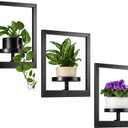 Heavy-Duty Wall Planters for Indoor Plants, Modern Metal Hanging Plant Holders, Picture Frame Wall Plant Shelves for Living Room, Balcony, Patio, Window Garden Dcor, 3-Pack