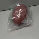 WILSON NFL Recreational Footballs (Official, Brown)