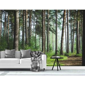 Bormia Forest Landscape Wall Mural - 151x105 WALLPAPER - Fresh Green Trees and Road Wall Decor