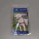 PetSafe Easy Walk Harness for Dogs - Pull-Free Walks - Patented Martingale Loop Design - Front Chest Leash Attachment - Comfort Straps - Breathable Harness Design - Medium/Large, Deep Purple/Black