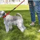 haapaw Martingale Dog Collar with Quick Release Buckle Reflective Dog Training Collars for Dogs