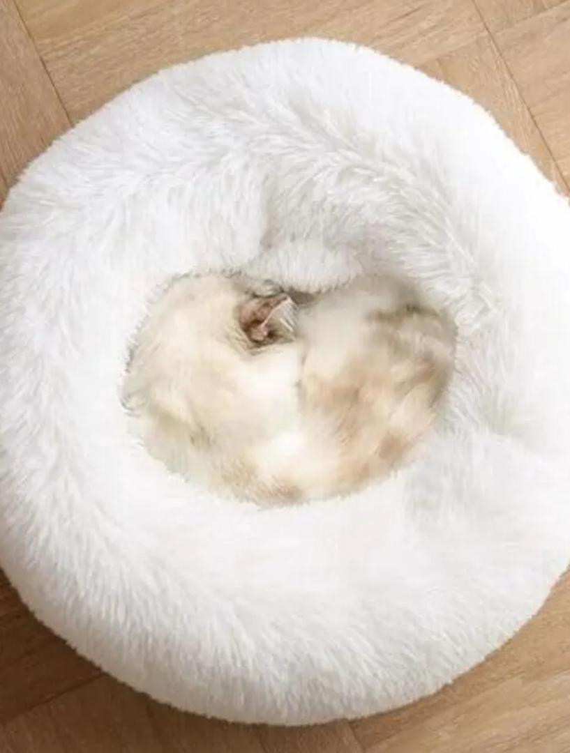 Small Cat Beds for Indoor Cats, Extra Small Dog Bed for Puppy, Washable 16 Inches Pet Bed (Up to 5lbs)