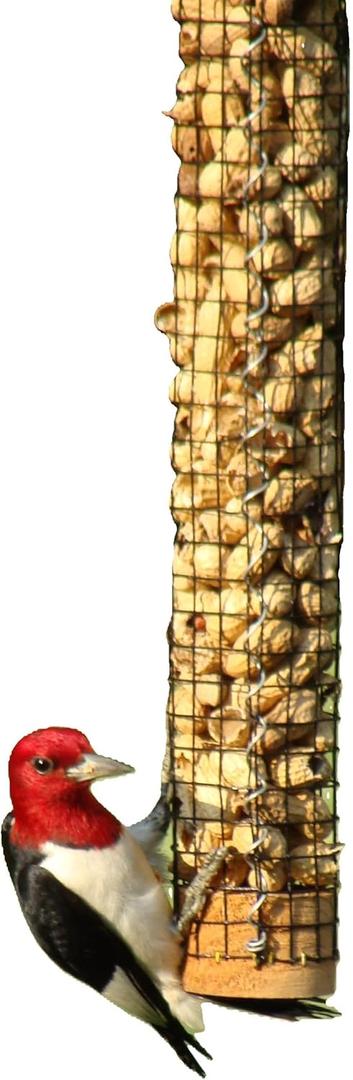 Backyard Birds Unlimited Cedar Whole in-Shell Peanut Outdoor Hanging Wild Bird Feeder Made in The USA-Large 42" Inch (Silver/Brown)