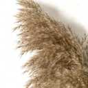 Dried Pampas Grass Decor, 8 Pack
