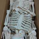 JOYIN 2PCS 36" Halloween Skeleton Decor, 3FT Full Body Stayable Movable Joints, Posable Hanging Skeletons for Halloween Decoration, Yard, Graveyard, Haunted House Props, Spooky Scene Party Favor (Yellow)