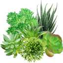 Green Succulent Plants, 6pcs Mini Fake Succulents Plants for DIY Crafting Home Floral Wall Office Decoration (excluding pots)
