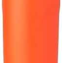Owala Kids FreeSip Insulated Stainless Steel Water Bottle with Straw for Sports, Travel, and School BPA-Free Sports Water Bottle, 16 oz, NO Citrus, Orange