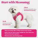rabbitgoo Dog Harness and Leash Set, Step in Soft Light Puppy Vest, Breathable Mesh Pet Harness, Reflective for Safe Easy Walking, Rosa Red XL