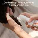 Dandylion Clean Paws Refill | No-Rinse Dog Paw Cleaner & Dog Paw Washer | Fragrance-Free, pH Balanced Foaming Cleanser with Silicone Bristle Brush | Designed for All Breeds & Sizes | 10 fl oz