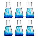 50ml Glass Erlenmeyer Flask Set, Narrow Mouth Graduated Flasks, 3.3 Borosilicate Glass, Ideal for Laboratory, Classroom or Home Use, HUAOU, Pack of 6