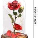 URBANSEASONS Beauty and The Beast Rose, Light Up Forever Roses Birthday Gifts for Women Mom Grandma, Red Rose Gift for Her Valentine Mothers Anniversary
