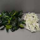 2 Pack Hawaiian Luau Maile and White Tuberose Lei Artificial Graduation Lei Leaf Flower Necklace for Wedding Hawaiian Graduation Party, 4.9ft