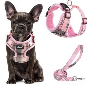 PUPTECK Soft Mesh Dog Harness and Leash Set Pet Puppy Cat Adjustable Reflective Padded Vest No Pull Harnesses, Pink, M