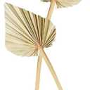 Dried Palm Leaves 2 Pcs Naturally Dried Palm Spears Bouquet for Boho Wedding, Tropical Home Decor, Table Arrangements – Eco-Friendly Handcrafted Palm Fans
