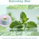 Mint Breeze Scented Tea Lights Candles  Bright Green  6 Hour Burn  100% Palm Wax  Scented Tealight Candles for Mornings Office Refresh, Outdoor Use  48 Pack Scent Votive Candle