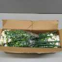 Artificial Flowers for Outdoors, 12 Bundles Fake White Flowers for Outdoor Planters, Faux Plants with Silk Flowers for Porch Decor Garden Patio Home Aesthetic