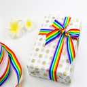 2 x Teemico 55 Yards Rainbow Grosgrain Ribbons Double Face Rainbow Stripes for Gift Wrapping Party Decor Jewelry Making DIY Handmade Crafts (1.5cm Wide)