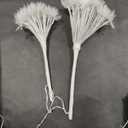 LITBLOOM Lighted Willow Branches with Timer Battery Operated and USB Plug in, Faux Dandelion Branches with Lights 27IN 70 LED Lights for Home Mantle Table Christmas Decoration