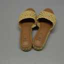 sweet life Platform Slip on Espadrille Sandals for Women Wedges Slides Bohemia Sandals Flatform Open Toe Beach Sandals, Size 9.5