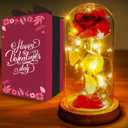 Norcalway Premium Valentines Day Gifts for her - Rose in Glass Dome with 6hr Timer - Birthday Gifts for Women, Mom from Daughter, Son, Kids - Beauty and The Beast Rose in a Glass Dome for decorations