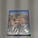 The Place Beyond the Pines [Blu-ray]