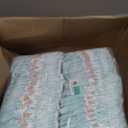 Pampers Baby Dry Diapers, Size 1, 8-14 lbs, 252 Count, Absorbent Disposable Diapers