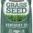 Pennington Kentucky 31 Tall Fescue Penkoted Grass Seed 40 lbs