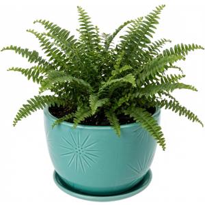 MyGift 7 Inch Round Turquoise Ceramic Plant Pot with Drainage Hole and Attached Saucer, Modern Decorative Embossed Sunburst Planter Container for Indoor Home Garden