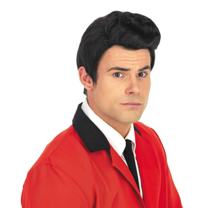 fun shack 50's Men's Black Wig with Sideburns, 1950s Costume Wig for Men, Retro Black Wig for Boys, One Size