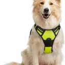 rabbitgoo Dog Harness No Pull with 2 Leash Clips, Adjustable Soft Padded, Reflective Oxford No Choke Pet Vest with Easy Control Handle for Medium Sized Dogs, Green, M