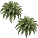 35IN Artificial Hanging Ferns,Large Boston Fake Ferns 40 Branches,Artificial Silk Green Plant for Outdoor Home Garden Porch Decor(Pack of 2) (40br2pcs-Green)