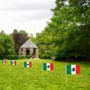 2 x QQSD Mexico Small Flag Mexican Stick Mini Hand Held Flags - Solid Wooden Pole with Spear Top, 12 Pack