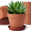 KOAMLY 2 PCS Clay pots and Plates, 5-inch red Clay pots with Drainage, Perfect for Indoor, windowsill, and Garden Plants
