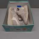 MIAgirl, Size 6, Beige