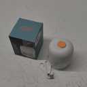 Electric Garlic Chopper, Mini Portable Veggie Chopper, 250ML Garlic Grinder Masher Onion Grinder, Blender to Vegetable, Wireless Food Processor for Ginger, Chili, Fruit, Meat, etc (White)