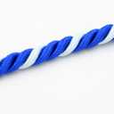 Gradzilla Double Graduation Honor Cords - Classic Academic Recognition Cords for High School and College Graduates, Graduation Accessories for Class of 2025 Ceremonies and Photos