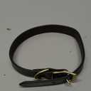 Jeffers Heavy Duty Flat Latigo Leather Dog Collar with Solid Brass Hardware, Adjustable Secure Fit for Dogs, Safe Chestnut Collar for Walking, Training & Outdoor Pet Accessories - 1" x 19"