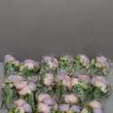 16 Bundles Artificial Peonies Silk Peonies Faux Flower Bouquet Fake Peony Flower Arrangements Table Centerpieces for Vase Wedding Party Boho Home Office Decoration Bulk (Pink, Purple)