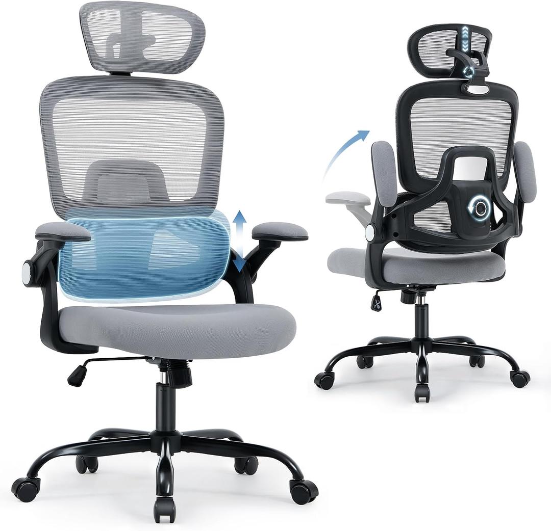 Office Chair with Adjustable Lumbar Support, Ergonomic Desk Chairs, Gray, Large