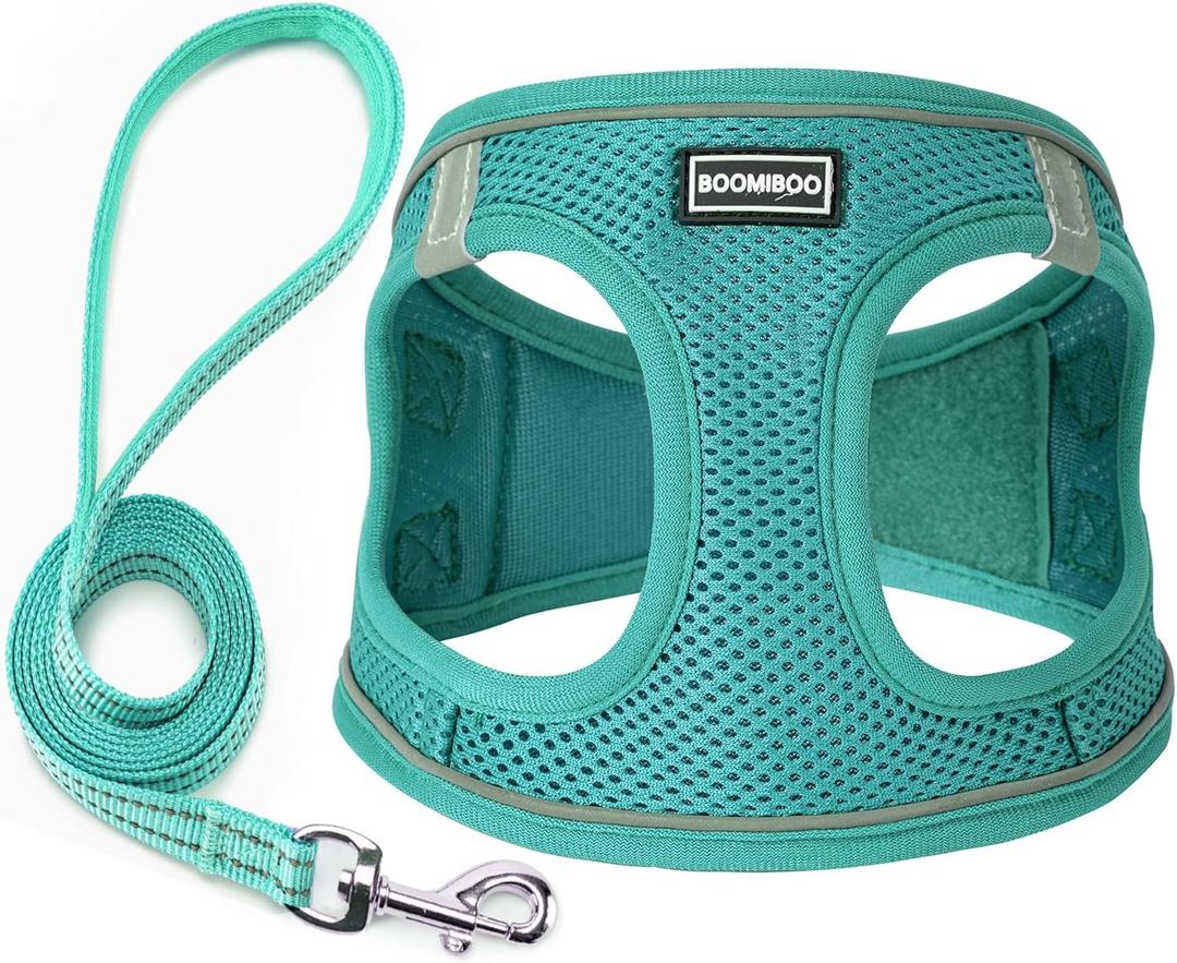 Dog Harness with Leash Set, No Pull Adjustable Reflective Step-in Puppy Pet Vest Harnesses for Dogs and Cats, Forest Green XS
