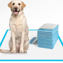 FPN Charcoal Puppy Pads 13x18 Inch  Pack of 100  Odor-Control Super Absorbent 5-Layer Leak-Proof Disposable Pee Pads for Dogs, Cats & Rabbits  Ideal for All Pets
