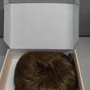 REECHO Hair Topper for Women - 100% Japanese Revolutionary Fiber Short Toupee Wiglet Topper Hairpiece for Women with Thinning Hair Loss Lightweight Large Base for Full Coverage - Light Ash Brown