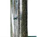 Woodlink NATUBE9 Audubon Plastic 8 Port Thistle Finch Feeder, Green, 15-Inch
