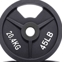 45 Lb Iron Weight Plate for Strength Training