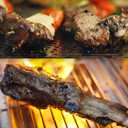 Heat Baffle Diffuser for Traeger Pro 22 34 Series Elite Pellet Smoker Deflector Replacement Part Z Grills Smokepro DLX 24 Char-Griller Grill BBQ Accessories Flame Tamer PG24-4 101015 BCA012