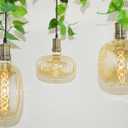 Oversized Decorative LED Light Bulb 6W 500LM E26 Large Fancy Edison Bulbs 60W Incandescent Dimmable 2200k Warm White Pendant Lighting for Bedroom Dining Living Room Bar1 Pack (PK215AM)