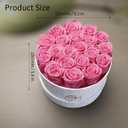 Gifts for Women Preserved Roses Flower Box, Luxury Velvet Box with 20 Roses, Preserved Flowers, Romantic Gift for Her, Wife, Girlfriend, Birthday Anniversary Christmas (Pink)